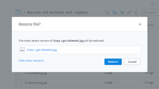 Illustration for article titled How To Recover Old Versions and Deleted Files in Dropbox